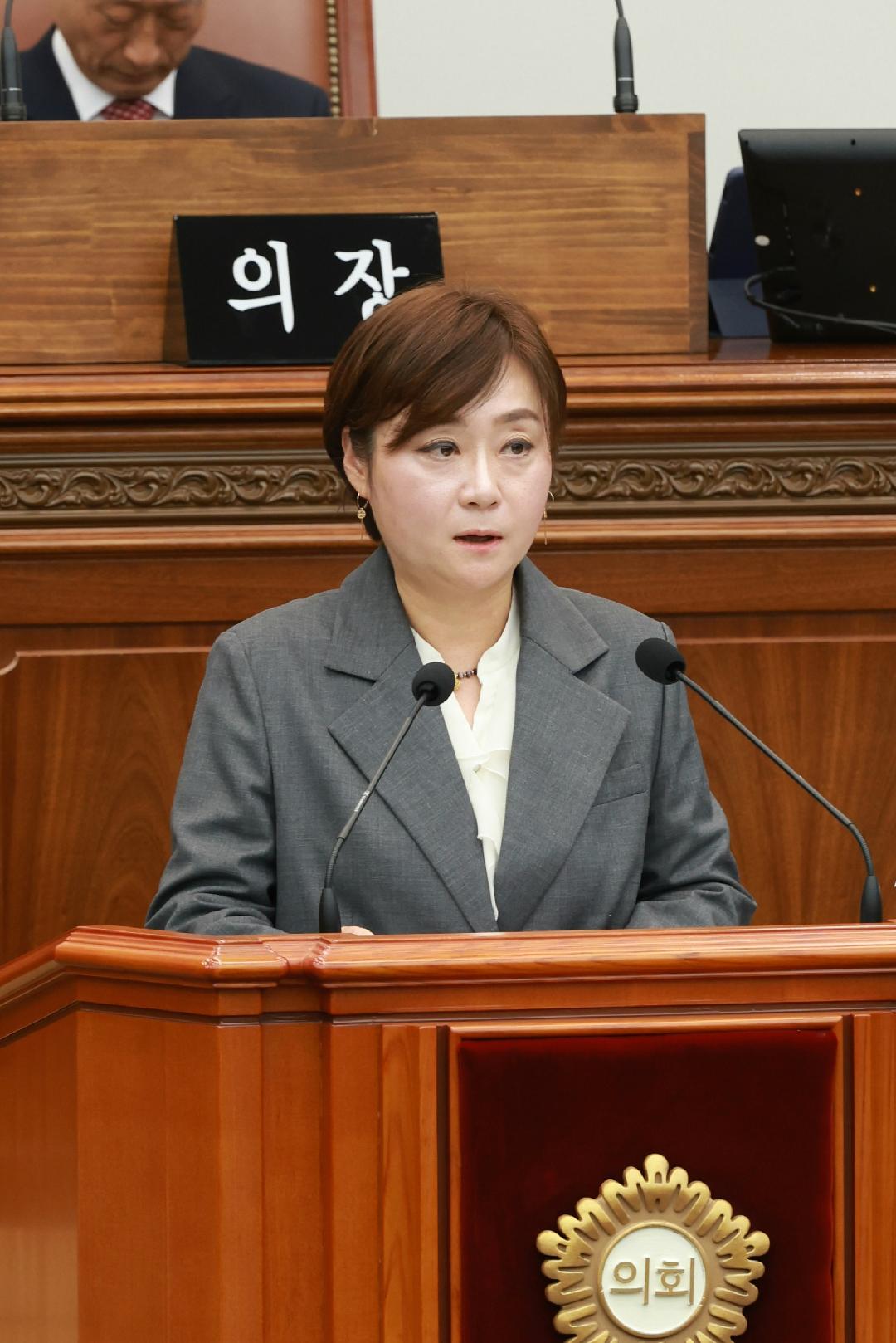 [5분 자유발언]김묘정 의원 “바우처택시 불평등...임산부 별도 지원을”1