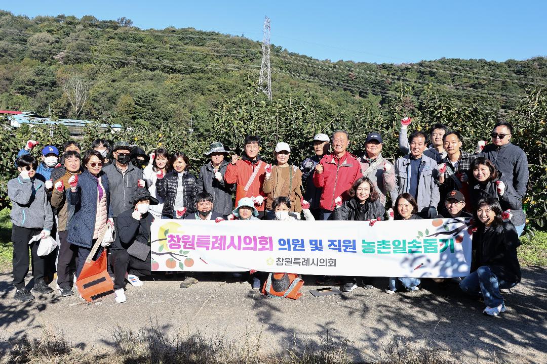 창원특례시의회, 단감 농가 일손돕기‘구슬땀’1