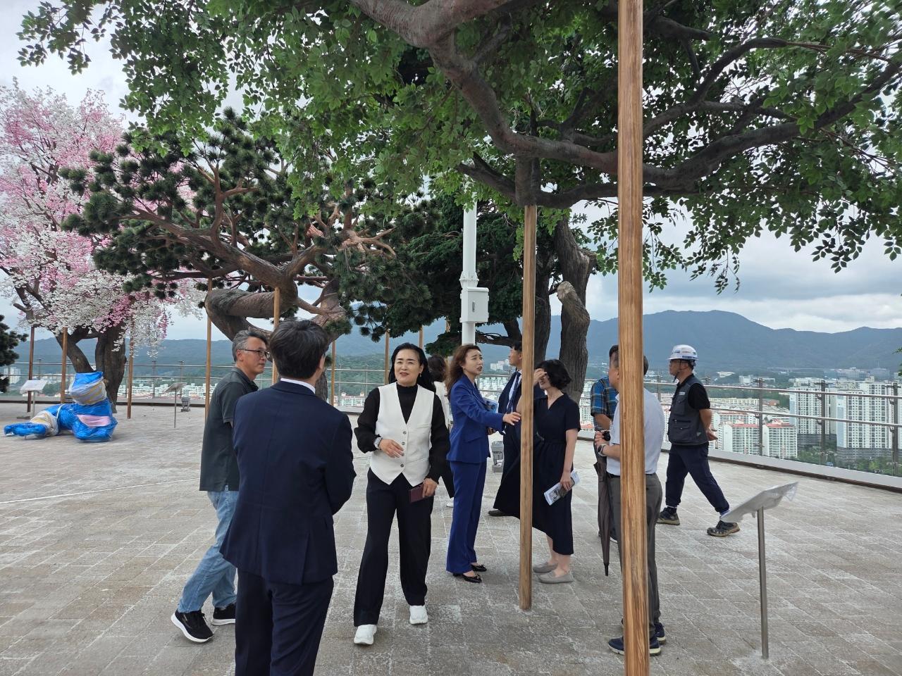 이미지제목