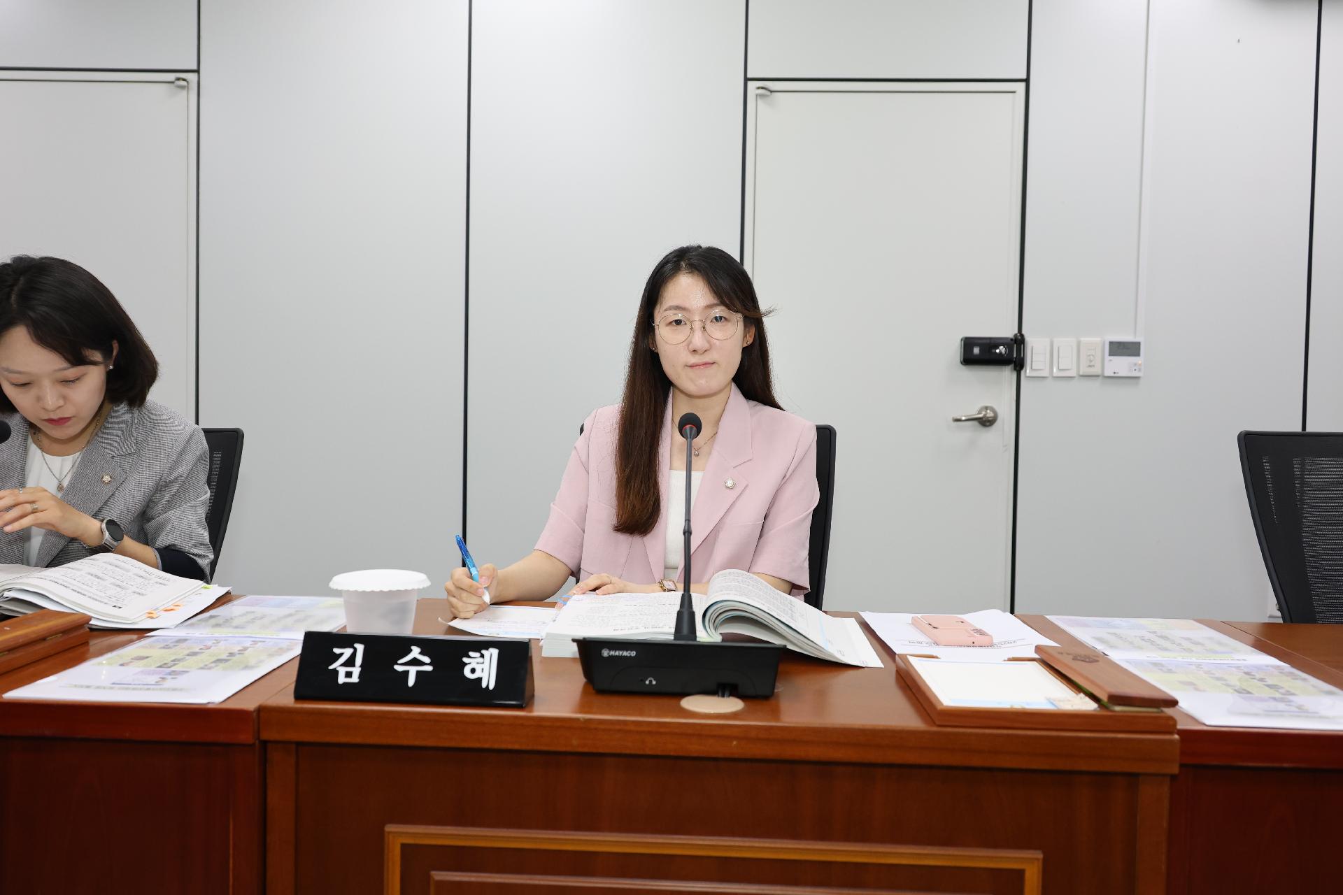 이미지제목