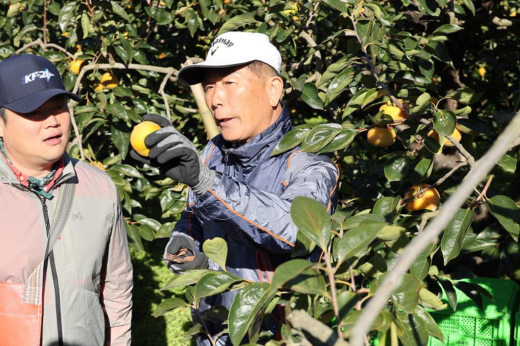 이미지제목 class=