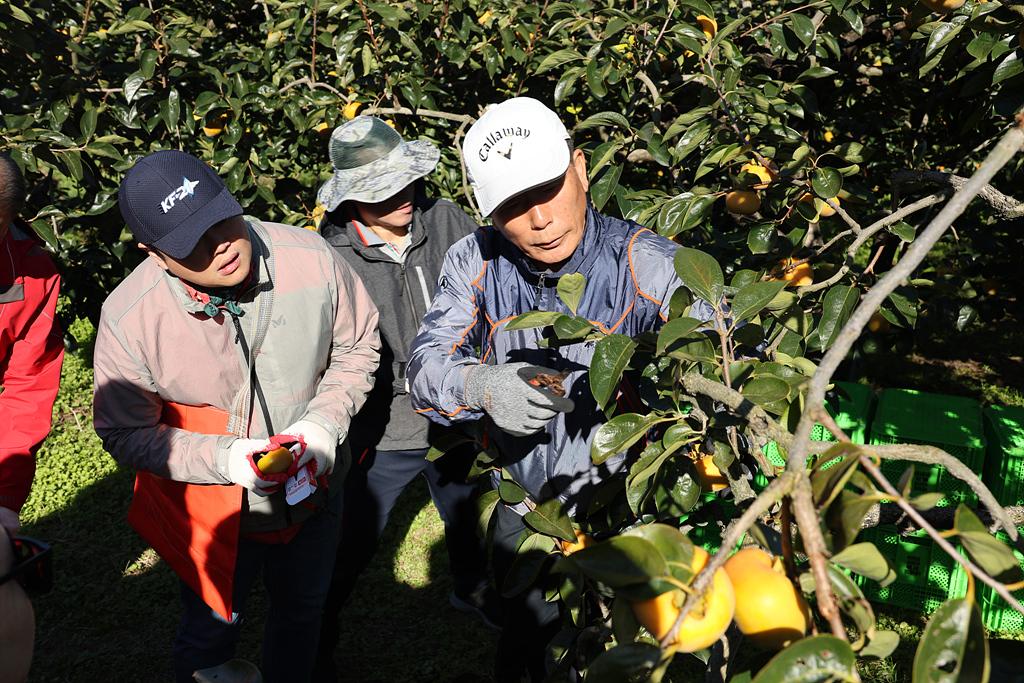 이미지제목 class=