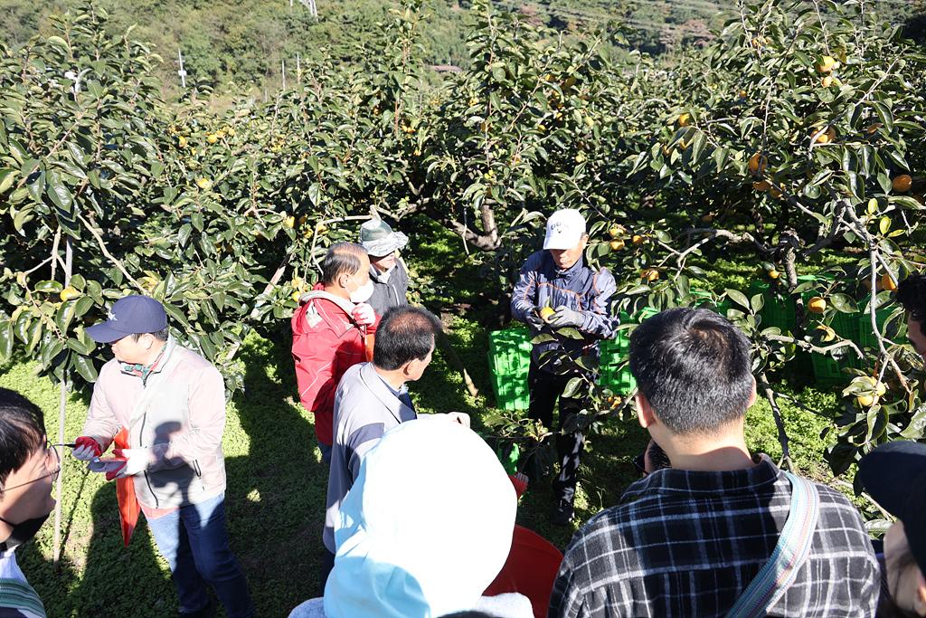 이미지제목 class=