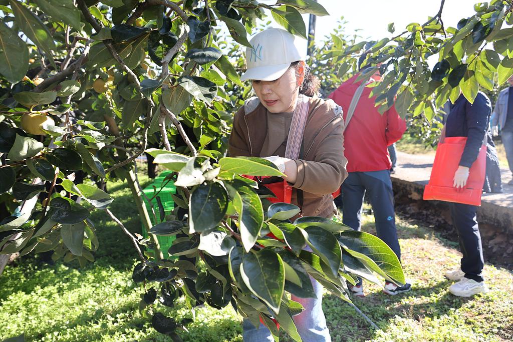 이미지제목 class=