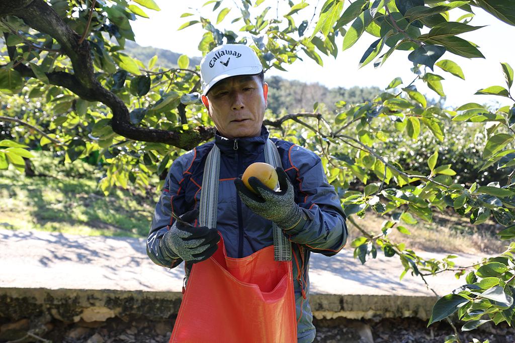 이미지제목 class=