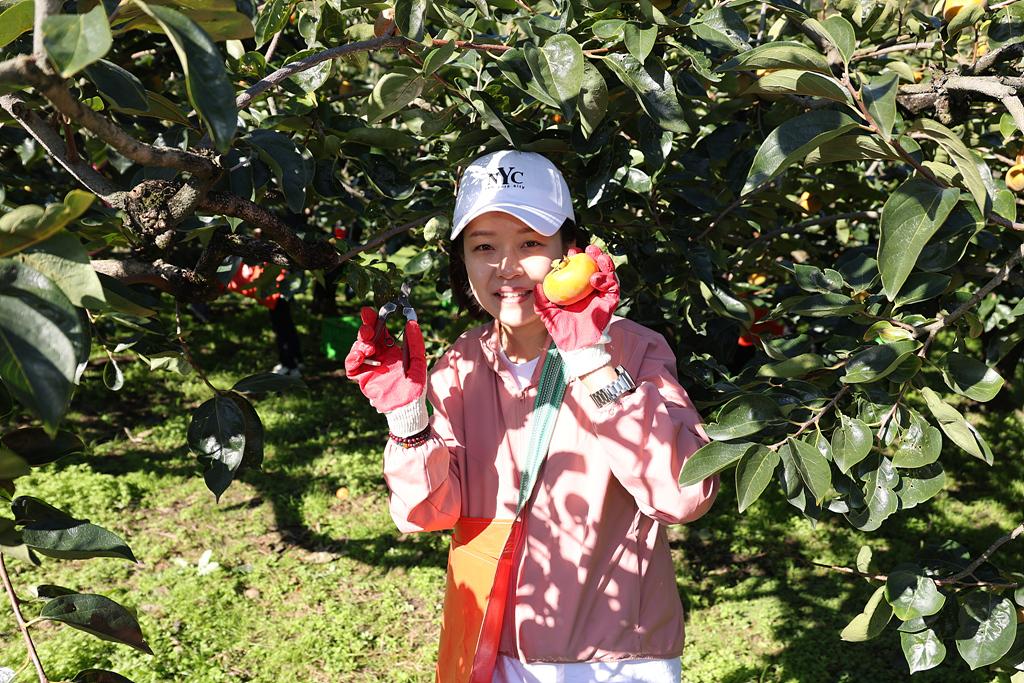 이미지제목 class=