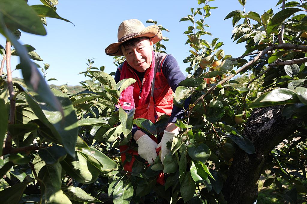 이미지제목 class=