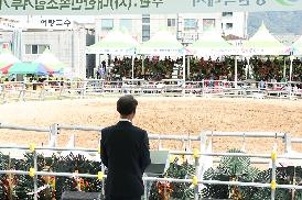 창원 전국민속 소힘겨루기대회