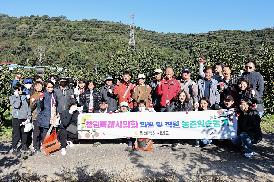 농촌일손돕기(단감수확)