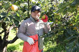 농촌일손돕기(단감수확)